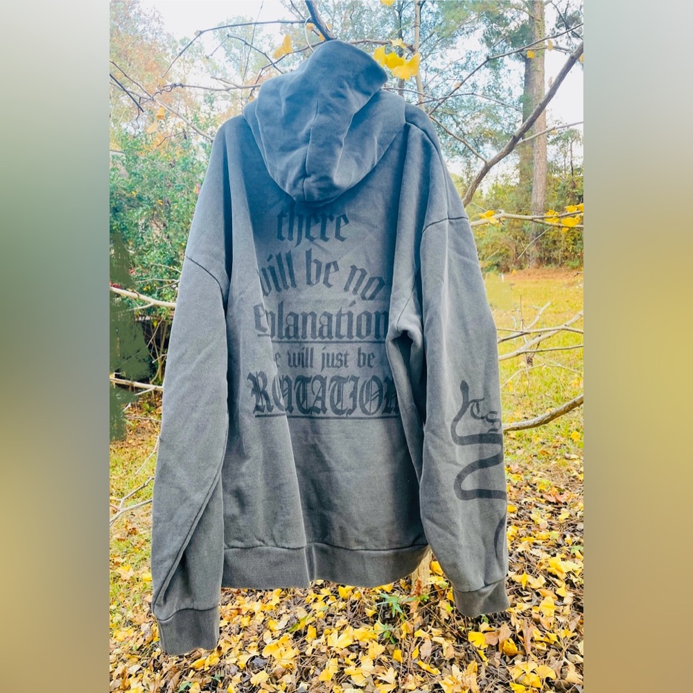 Taylor Swift Reputation snake gray 2X hoodie